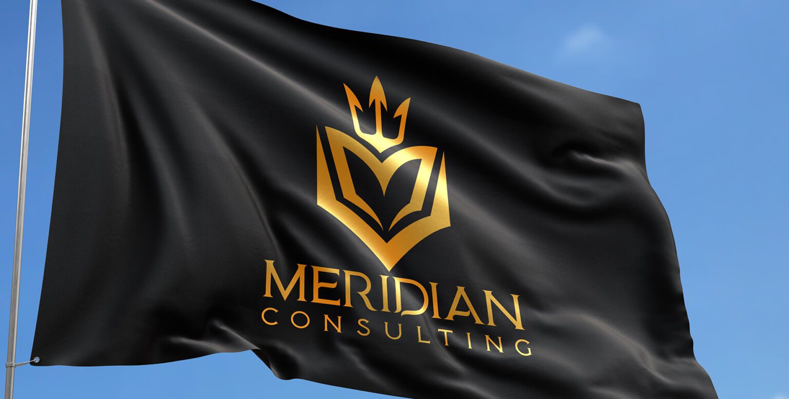 Meridian Consulting, frame 3 of 4, delivered by AVMDEVS