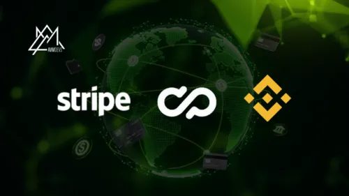 Stripe vs Crypto Pay vs Binance: Which Payment Gateway Is Right for Your E-Commerce Business?